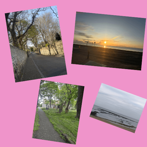 Morning Walk things I can't live without